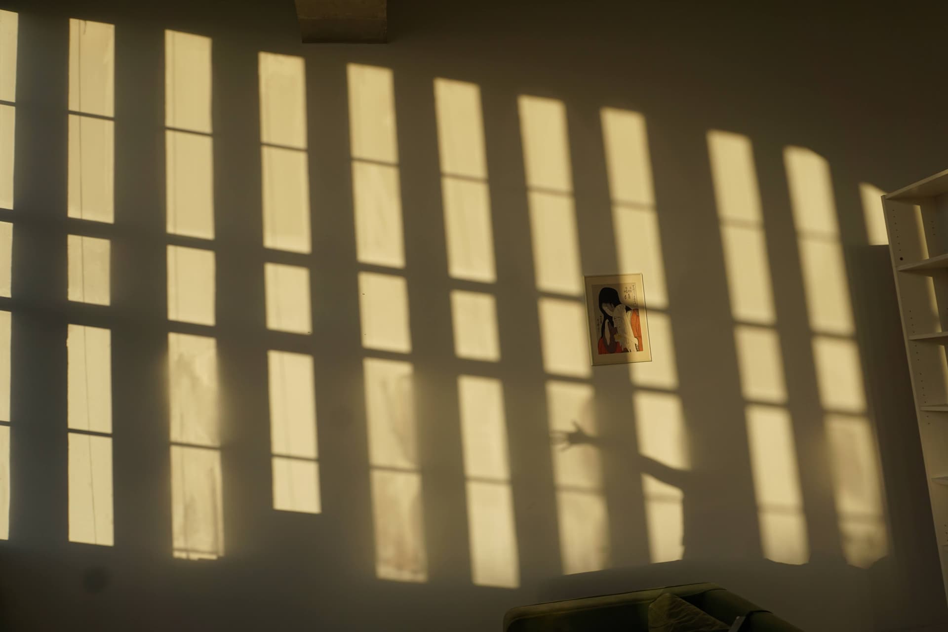 Window light shadows across the studio wall